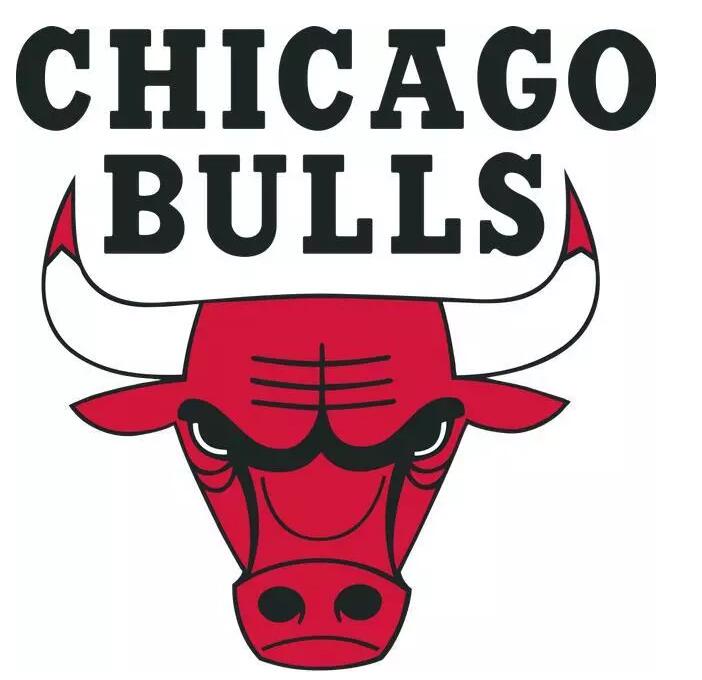 牛头的标志看起来也特别的凶悍.代表了芝加哥人的坚韧,有毅力的品质.